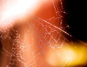 Web Crawling and Scraping