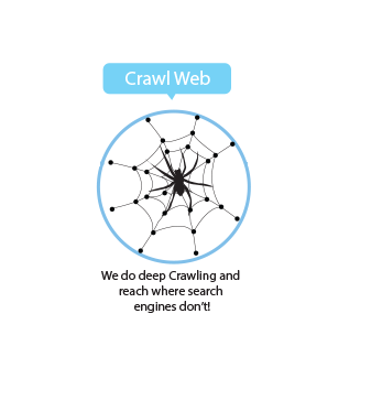 Web Crawling Spider