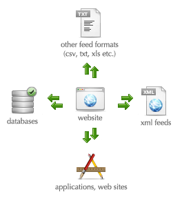 how to scrape a website