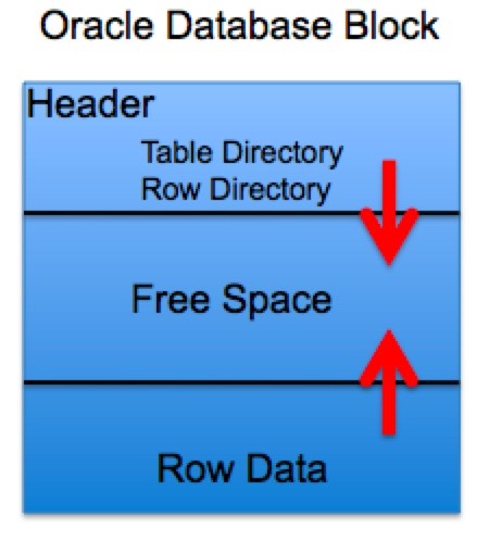 Oracle DBMS Block