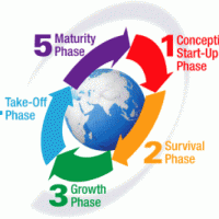 right time to start crawling based on business cycle