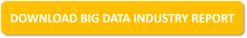 Download Big Data Industry Report
