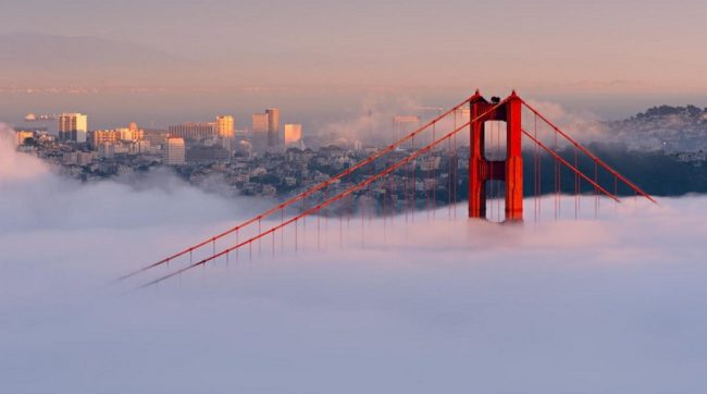 san fransisco fog