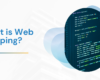 What is Web Scraping?