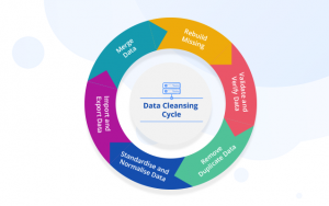 Data Cleaning Strategy