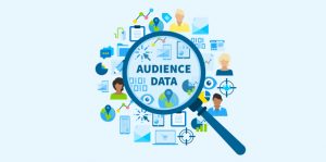 Audience Data