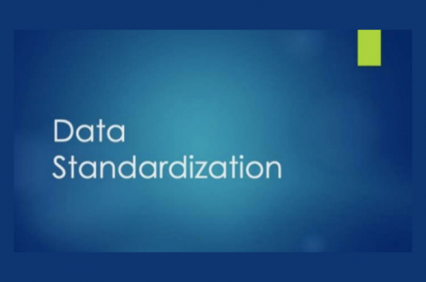 Data Standardization with Web Data