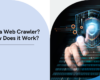 What is a web crawler