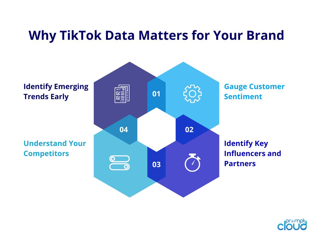 Why TikTok Data Matters for Your Brand