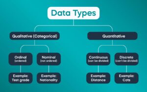 What Is a Data Set? Definition, Structure, and Use Cases