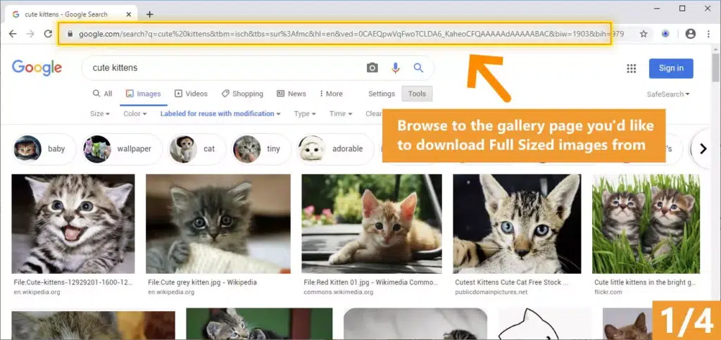 Screenshot of Bulk Image Downloader desktop interface showing gallery detection and full-size image preview before downloading.