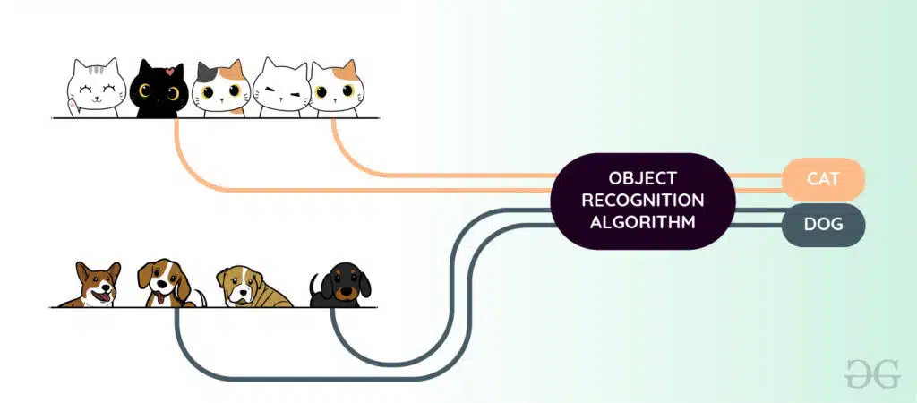 Object Recognition