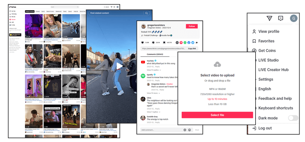  Using a TikTok Scraper for Marketing