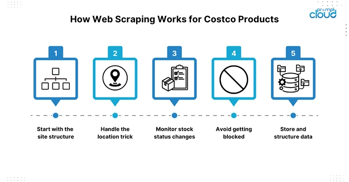 How Web Scraping Works for Costco Products