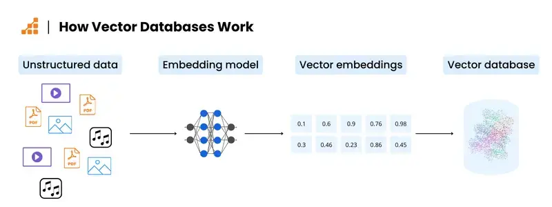 What Are Vector Databases 