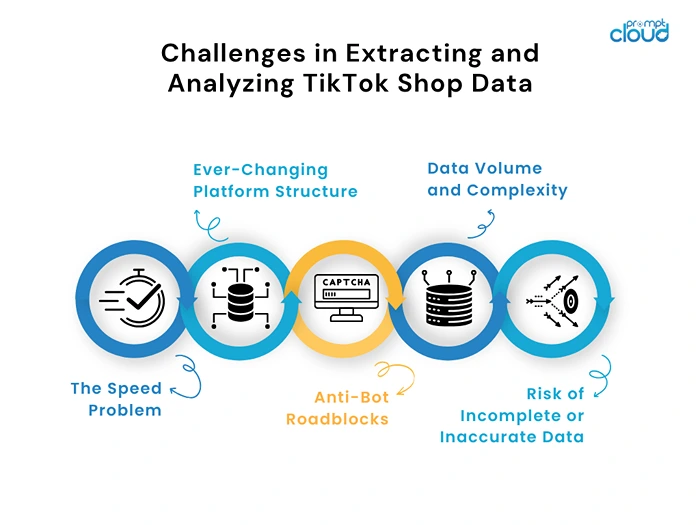 Challenges in Extracting and Analyzing TikTok Shop Data
