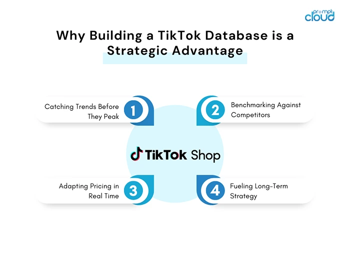 Why Building a TikTok Database is a Strategic Advantage