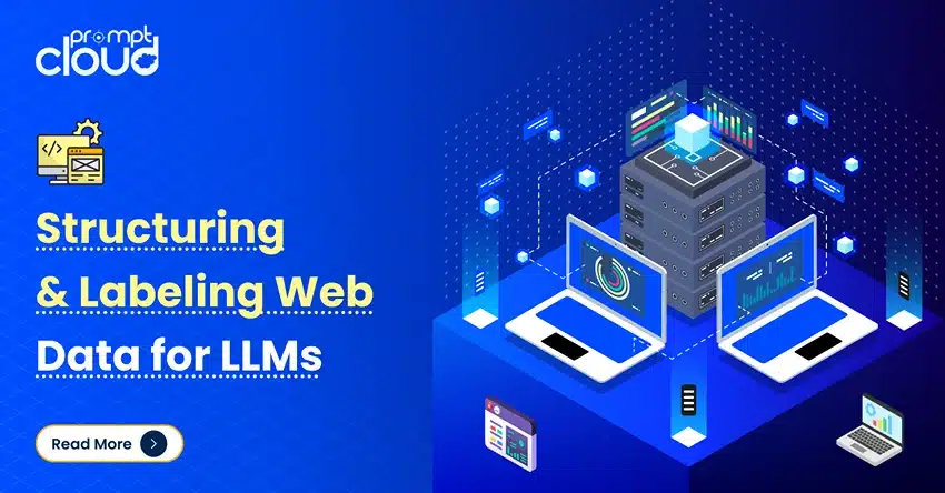 Structuring & Labeling Web Data for LLMs